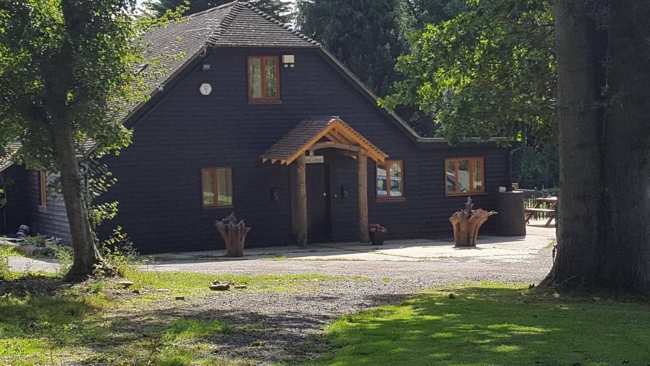 Oakside Lodge Guest House Canterbury Eksteriør bilde